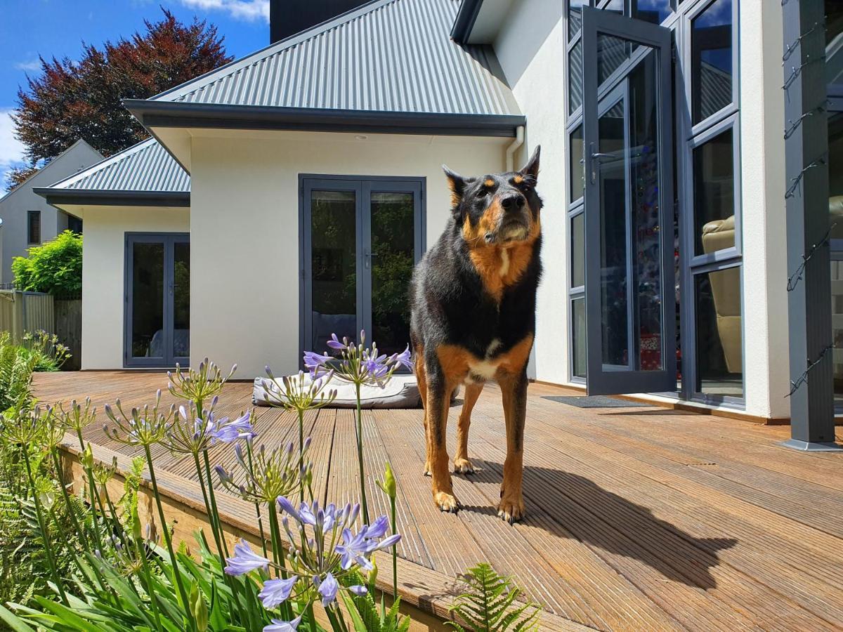 Christchurch Airport House Kültér fotó